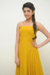 Pranitha at Alludu Seenu Audio Launch
